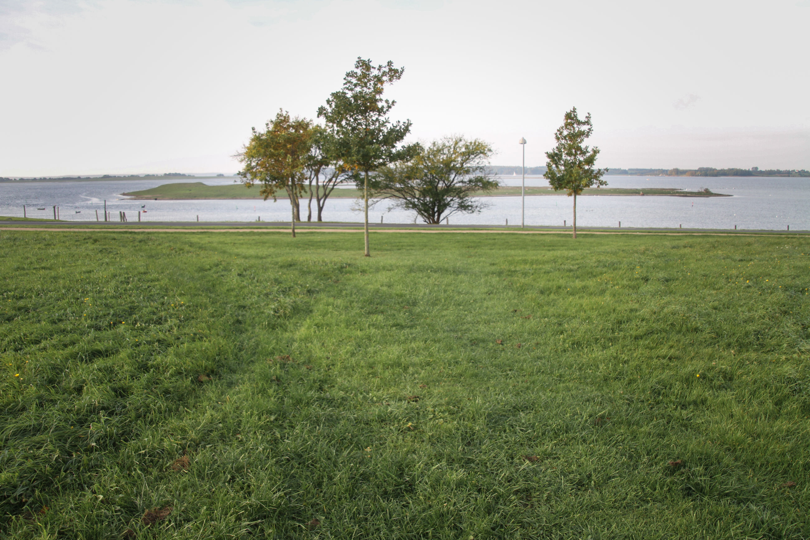 Helligkorspark med udsigt til Roskilde Fjord