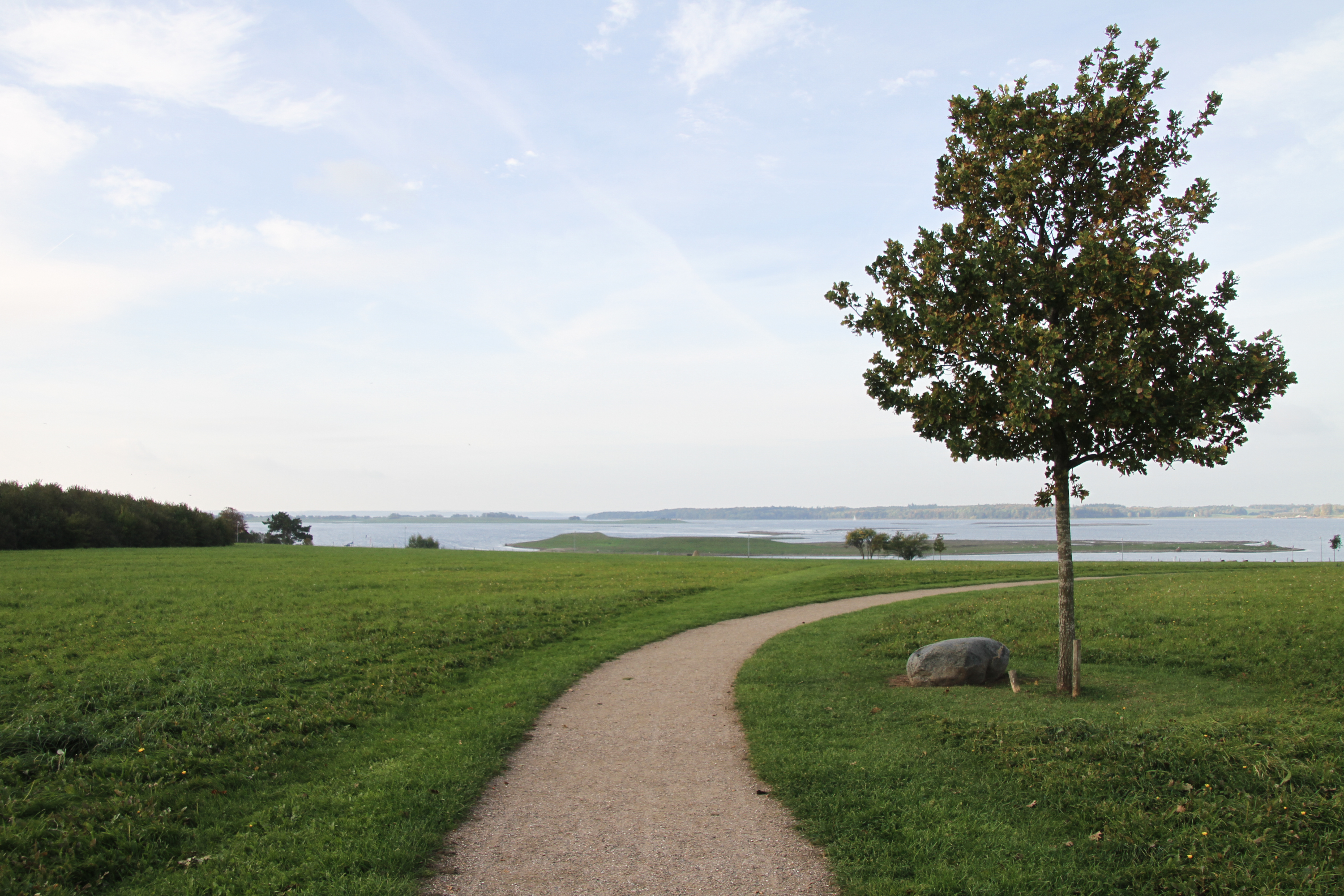 Helligkorspark med sti med kig mod Roskilde Fjord