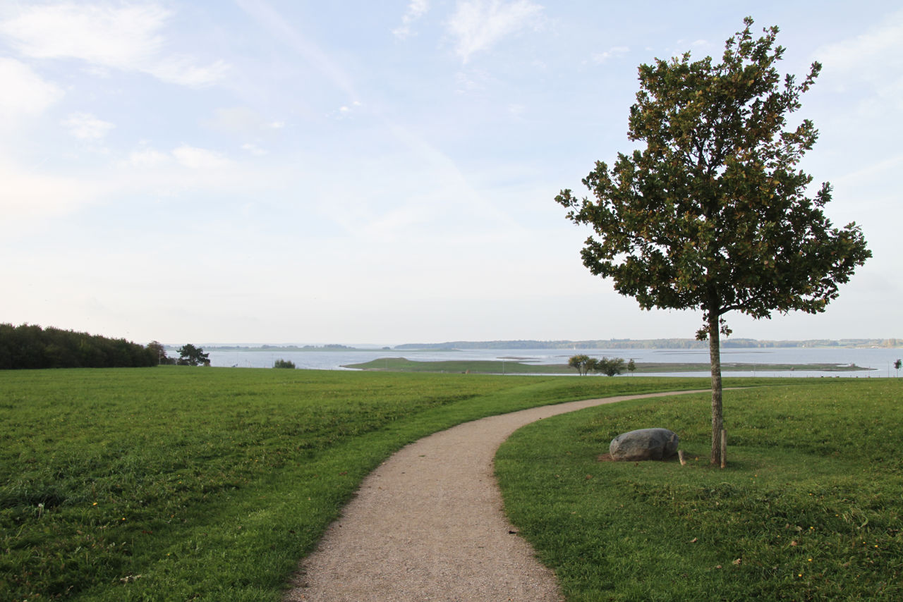 Helligkorspark med sti med kig mod Roskilde Fjord