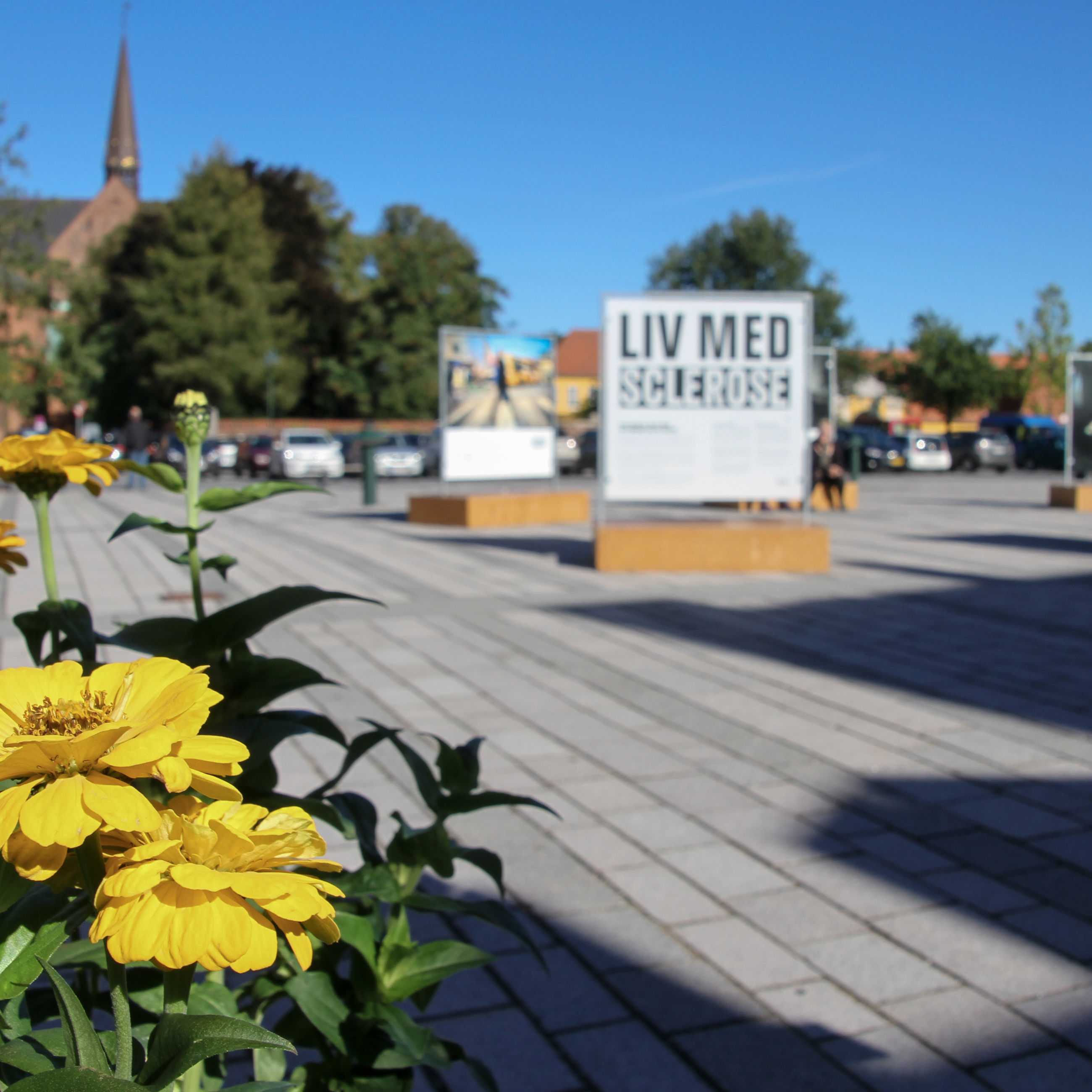 Stændertorvet med udstilling og blomster i forgrunden
