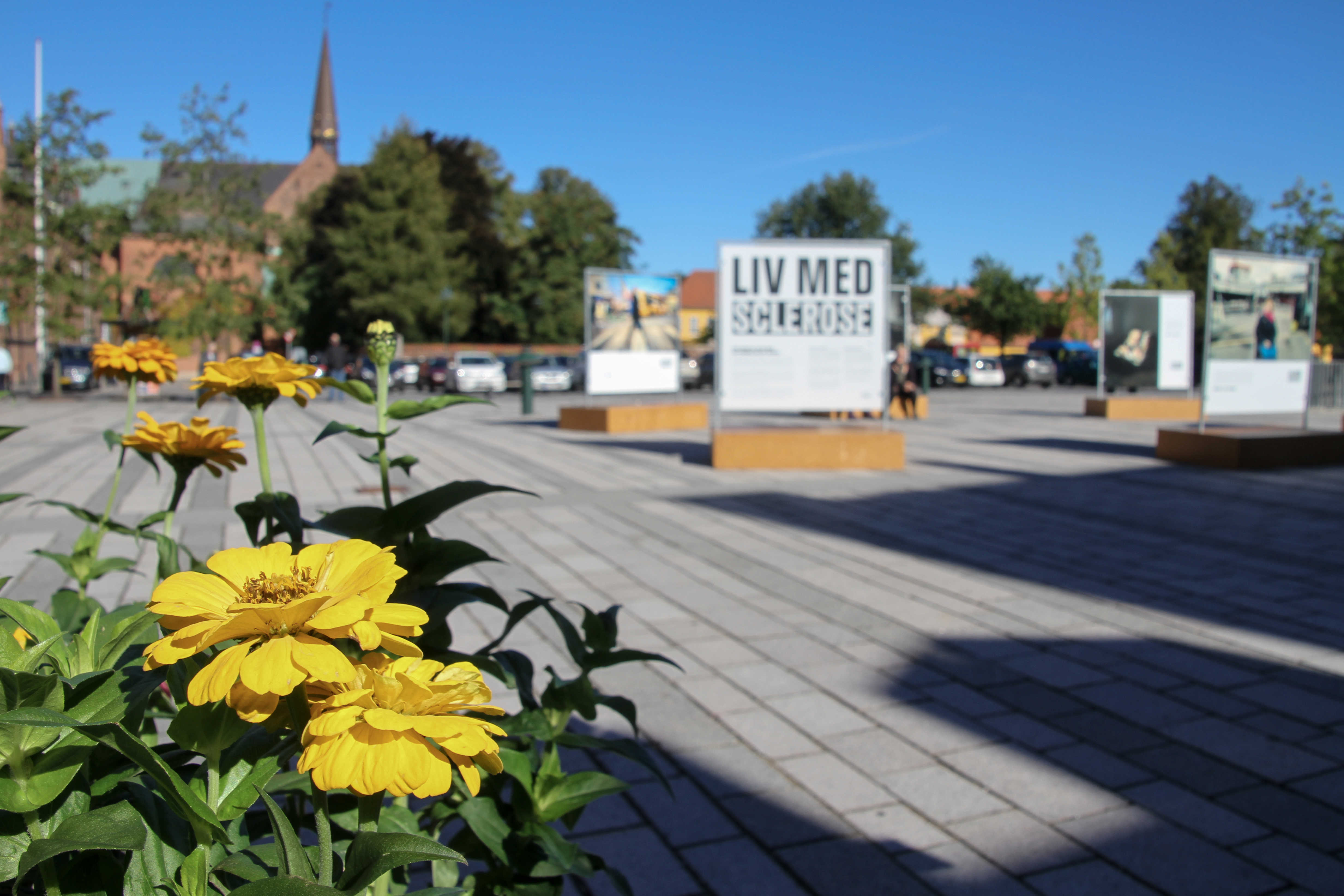 Stændertorvet med udstilling og blomster i forgrunden