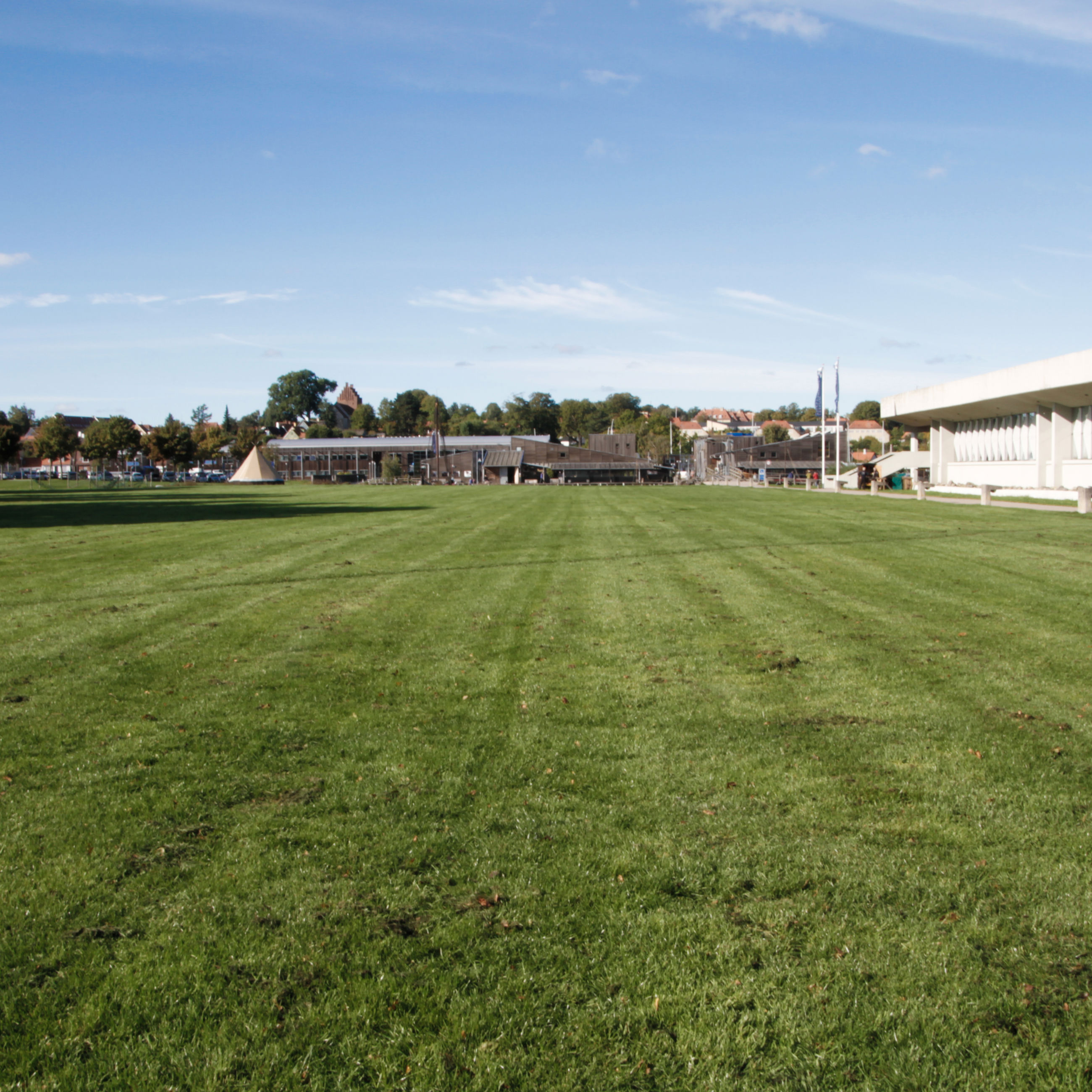 Græsarealet foran Vikingeskibsmuseet
