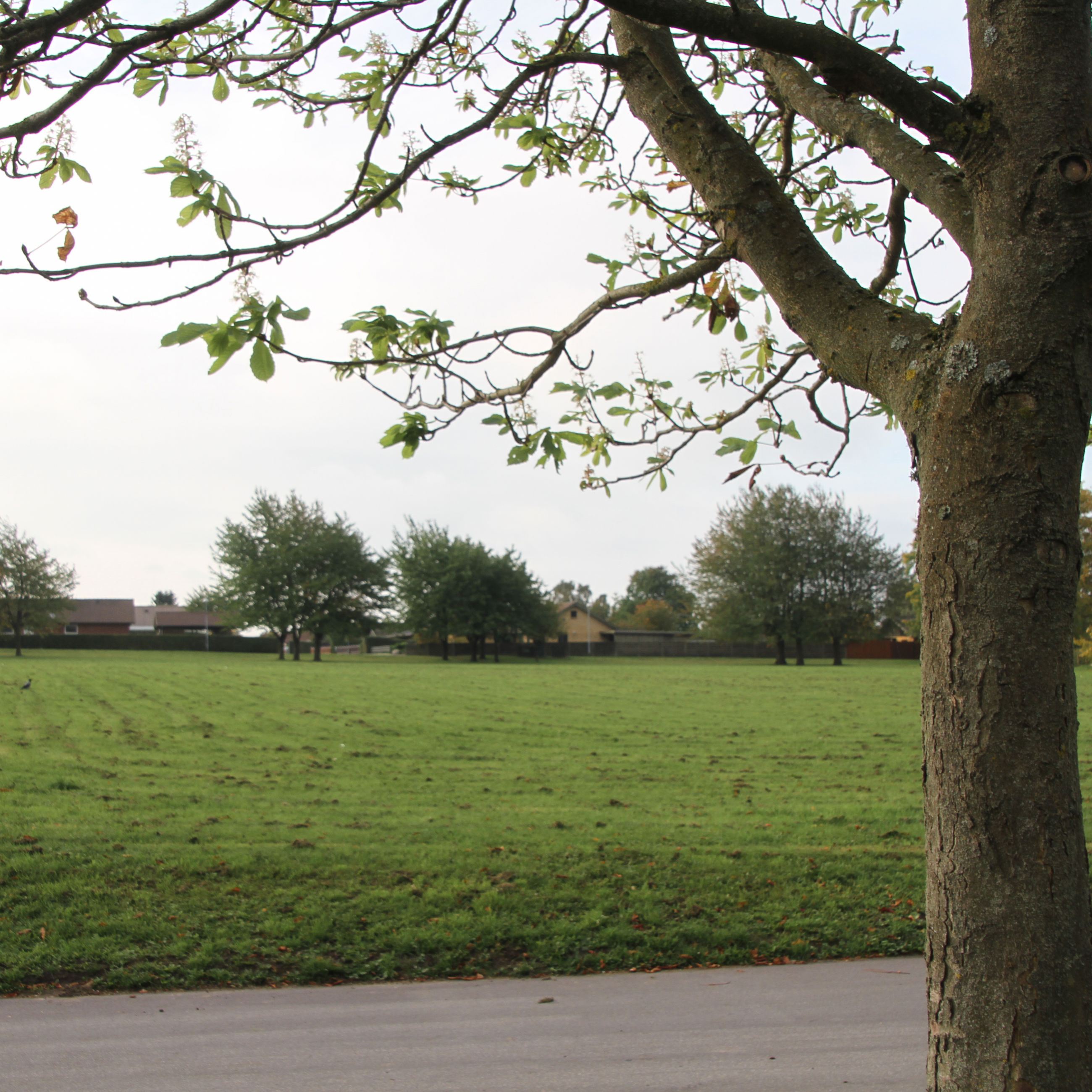 Cirkuspladsen i Jyllinge