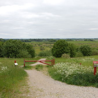 Himmelev Skov er statsejet