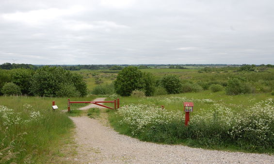 Himmelev Skov er statsejet