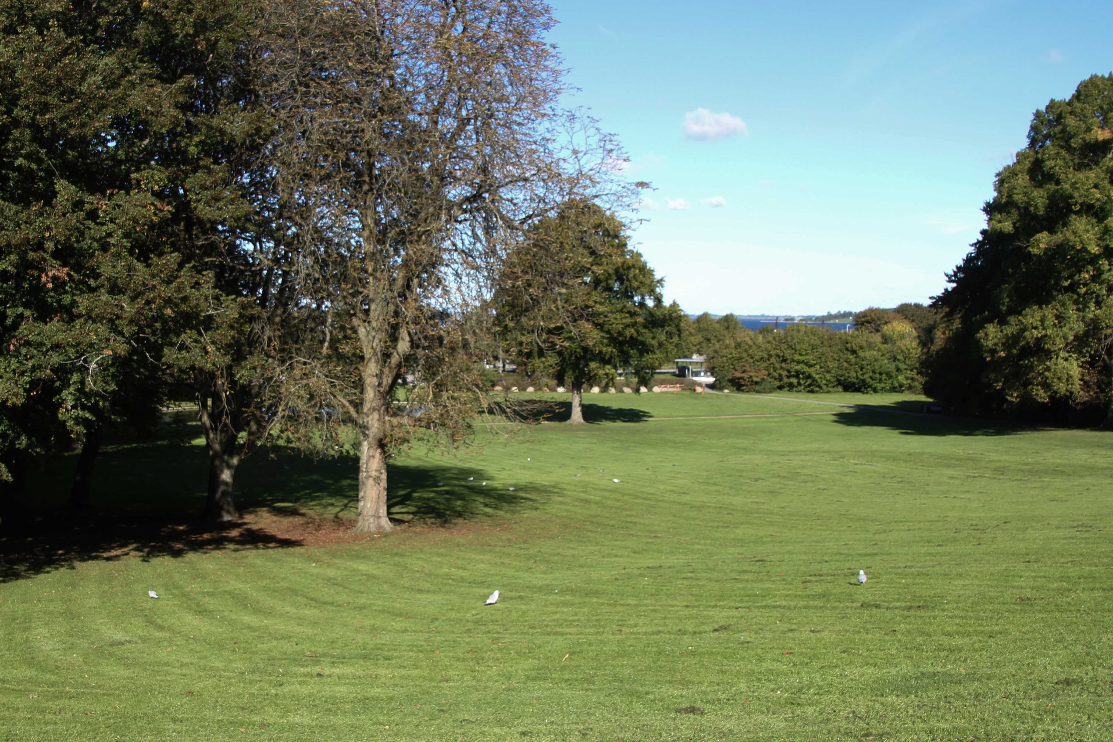 Byparken med udsigt mod Roskilde Fjord
